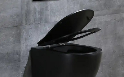 chọn bồn cầu 1 khối hay bồn cầu 2 khối